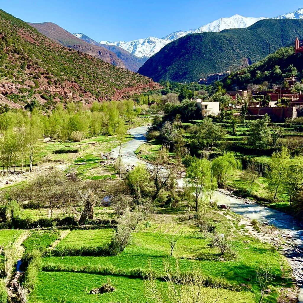 Day Trip From Marrakech to High Atlas Mountains