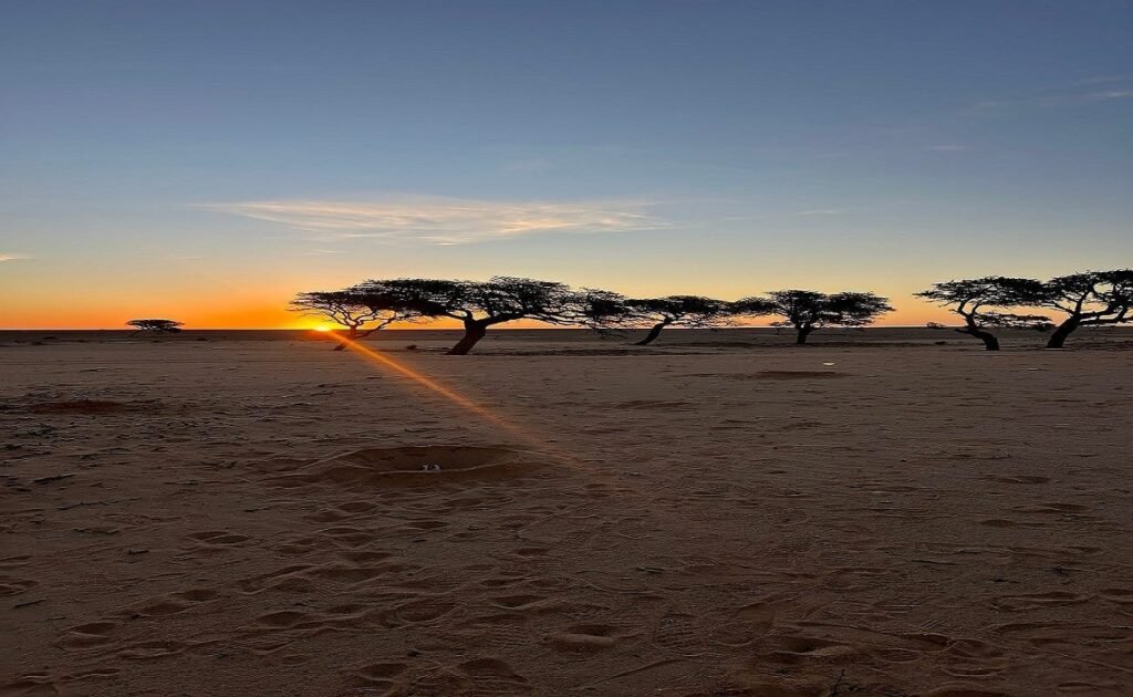 Morocco Ready Tours from Marrakech