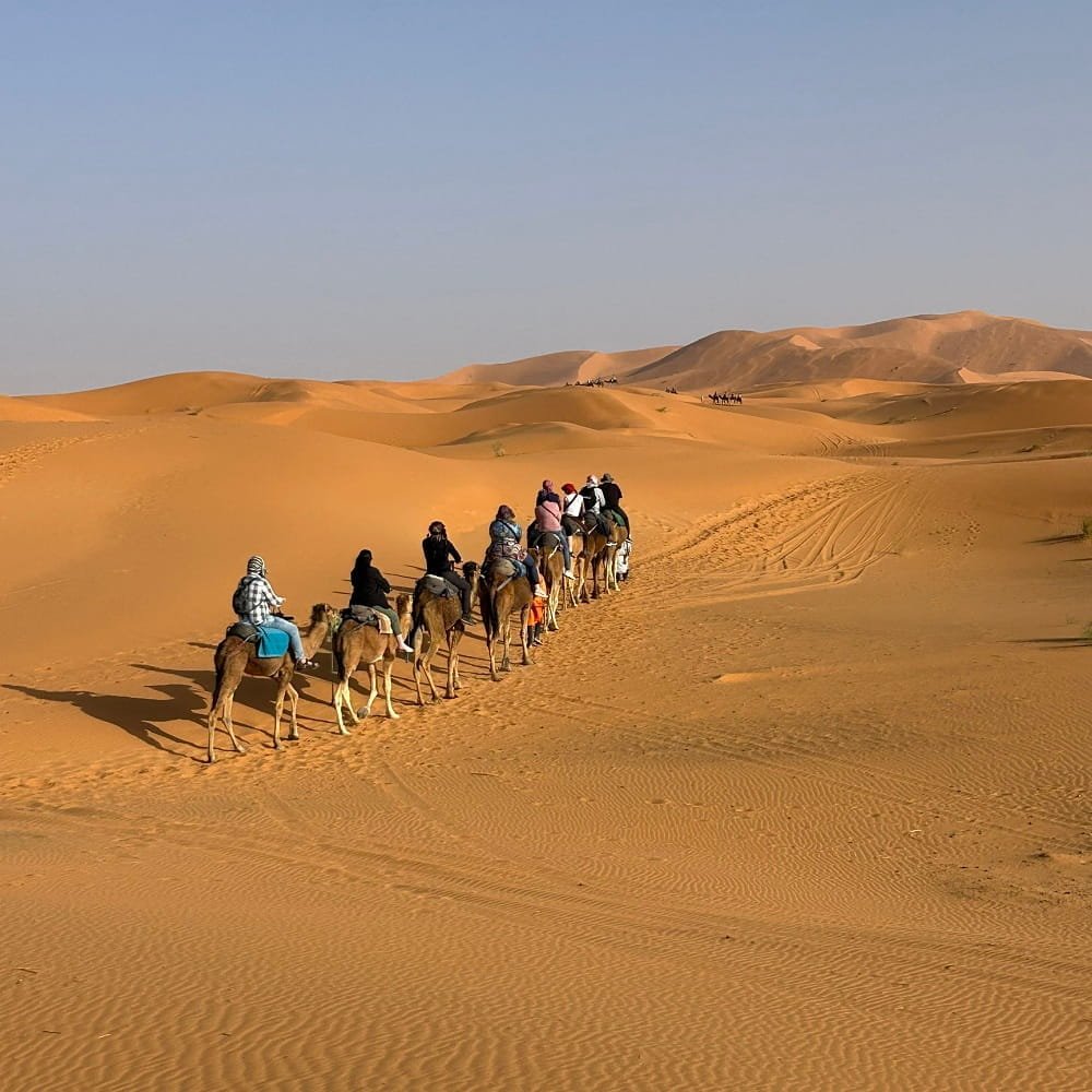 Morocco Marrakech Small Group Walking City Tour by a Local Tour Guides